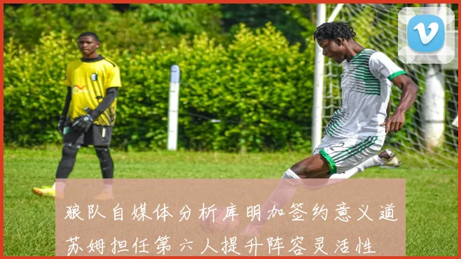 狼队自媒体分析库明加签约意义道苏姆担任第六人提升阵容灵活性